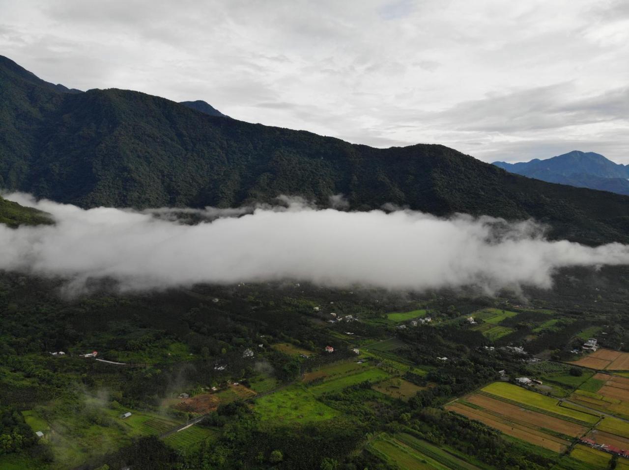 Sunrise Forest Fenglin Luaran gambar