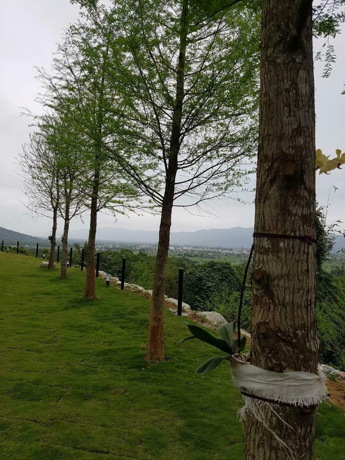 Sunrise Forest Fenglin Luaran gambar